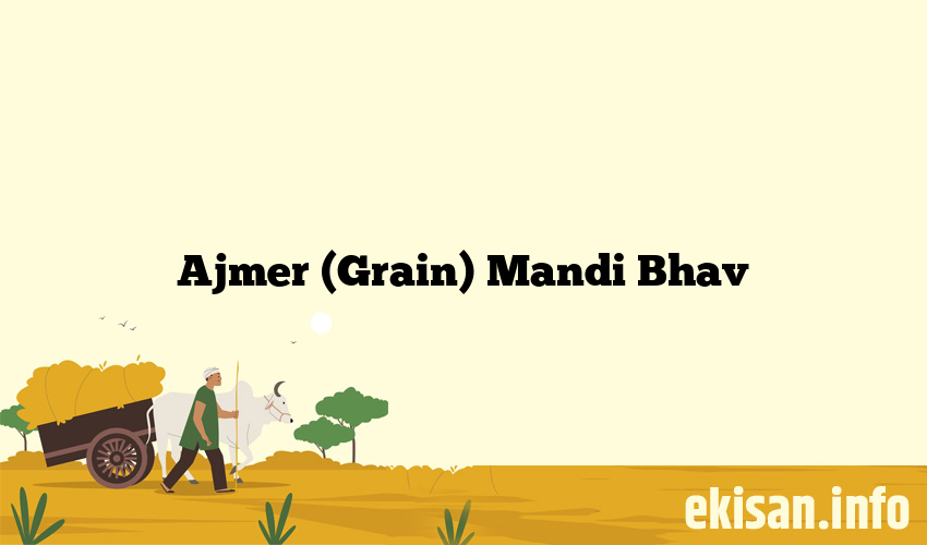 Ajmer (Grain) Mandi Bhav