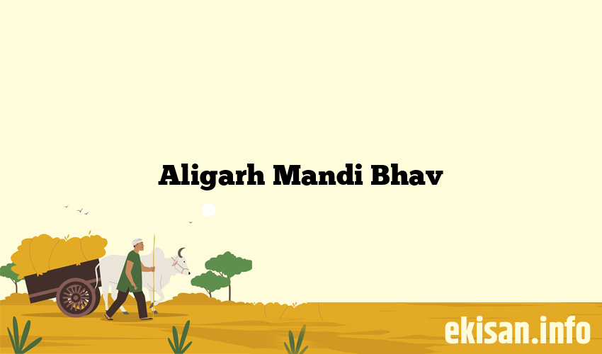 Aligarh Mandi Bhav