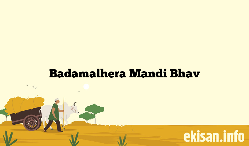 Badamalhera Mandi Bhav