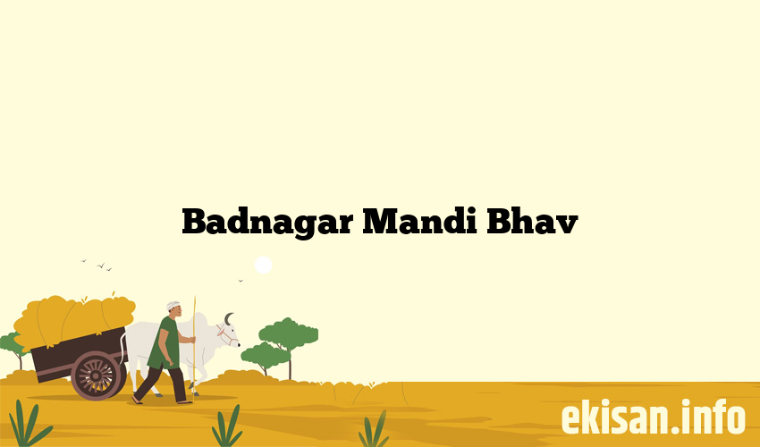 Badnagar Mandi Bhav