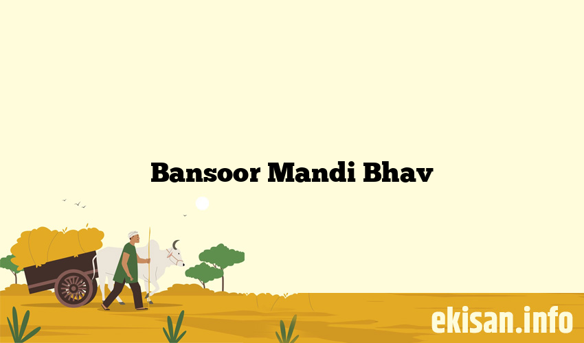 Bansoor Mandi Bhav