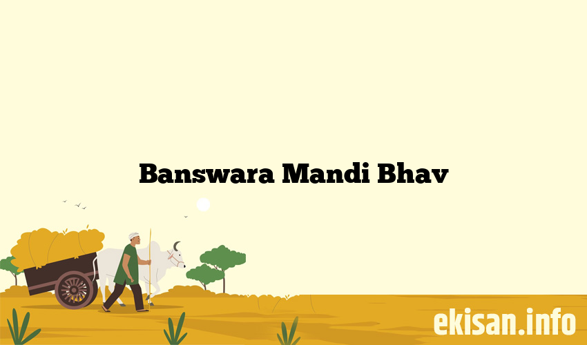 Banswara Mandi Bhav