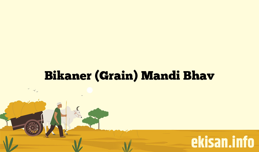 Bikaner (Grain) Mandi Bhav