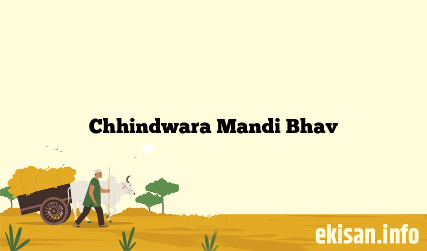 Chhindwara Mandi Bhav