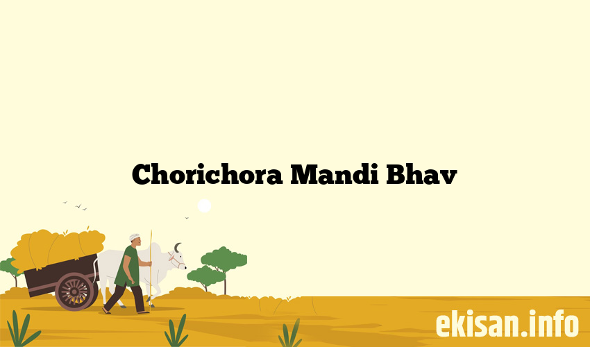 Chorichora Mandi Bhav