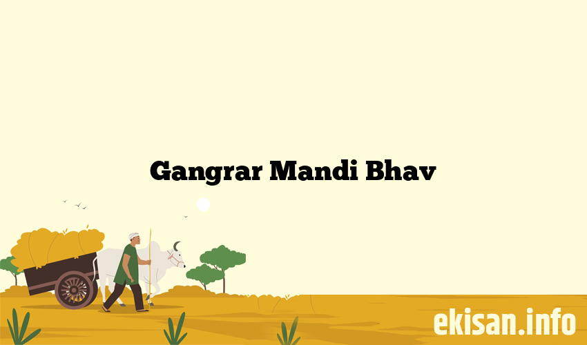 Gangrar Mandi Bhav