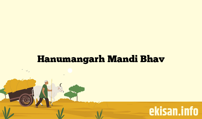 Hanumangarh Mandi Bhav