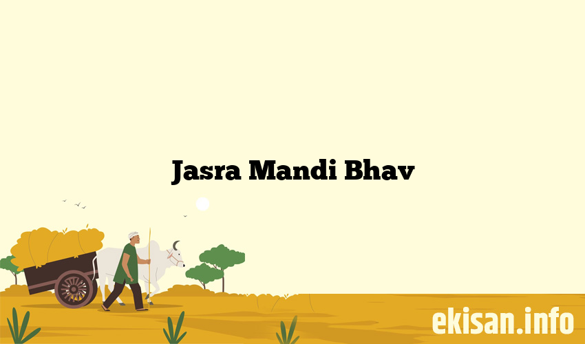 Jasra Mandi Bhav