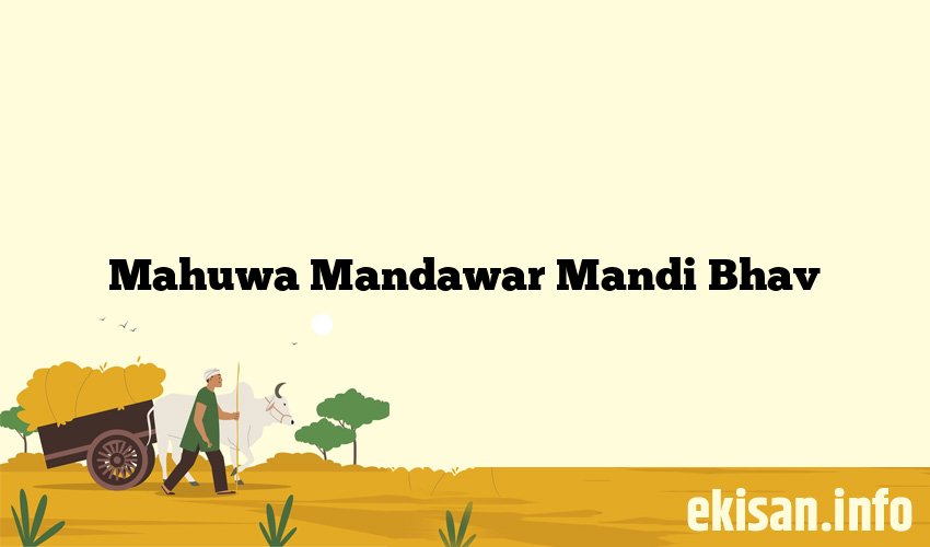 Mahuwa Mandawar Mandi Bhav