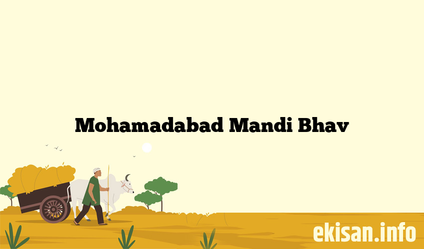 Mohamadabad Mandi Bhav