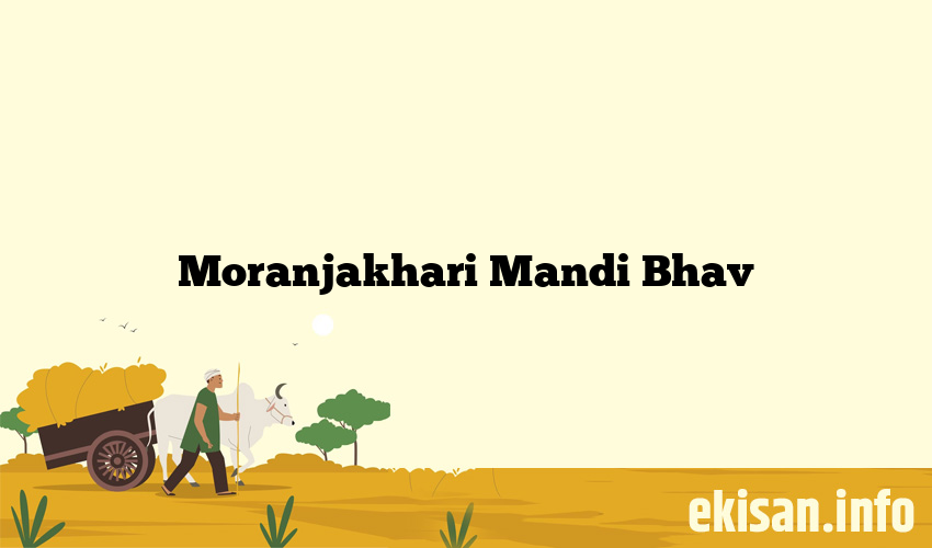 Moranjakhari Mandi Bhav