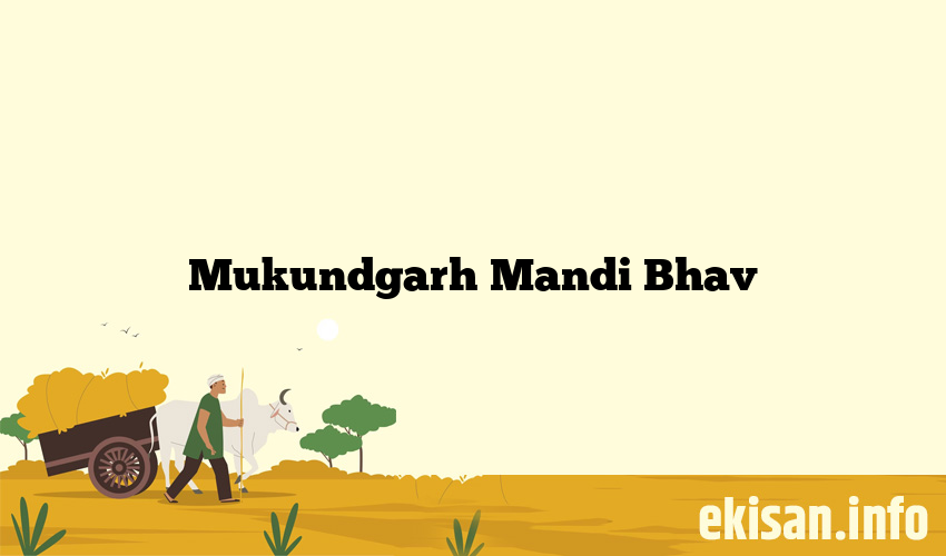 Mukundgarh Mandi Bhav