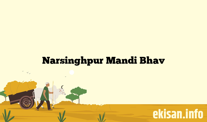 Narsinghpur Mandi Bhav