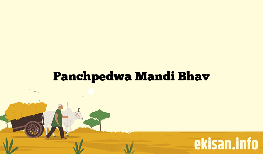 Panchpedwa Mandi Bhav
