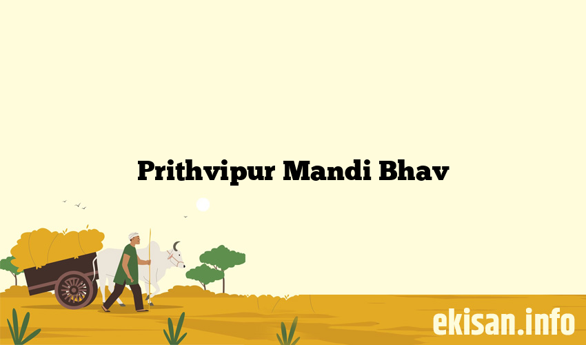 Prithvipur Mandi Bhav