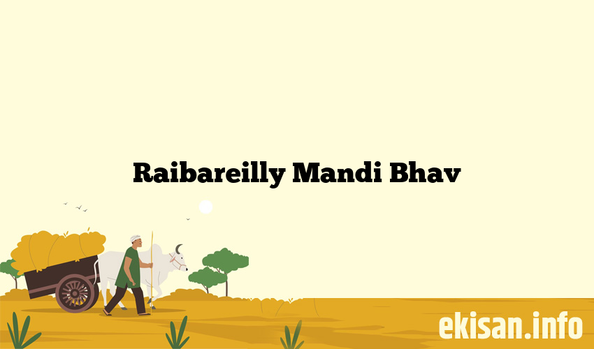 Raibareilly Mandi Bhav