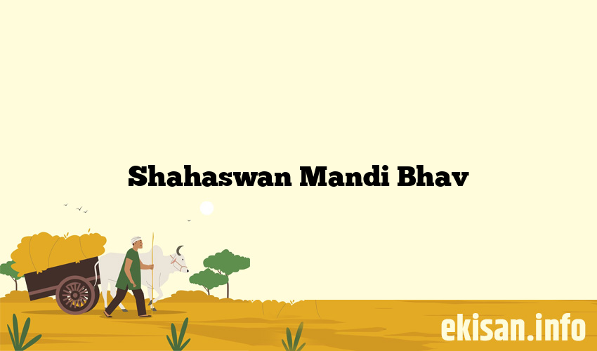 Shahaswan Mandi Bhav