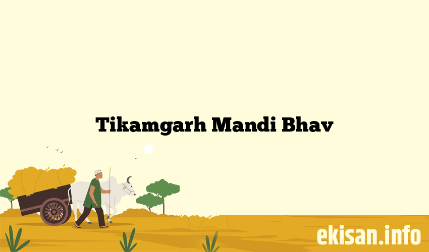 Tikamgarh Mandi Bhav
