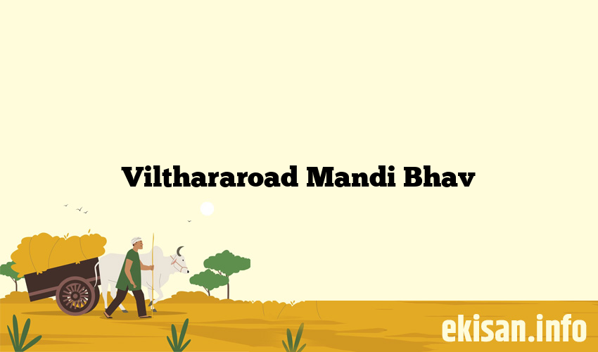 Vilthararoad Mandi Bhav