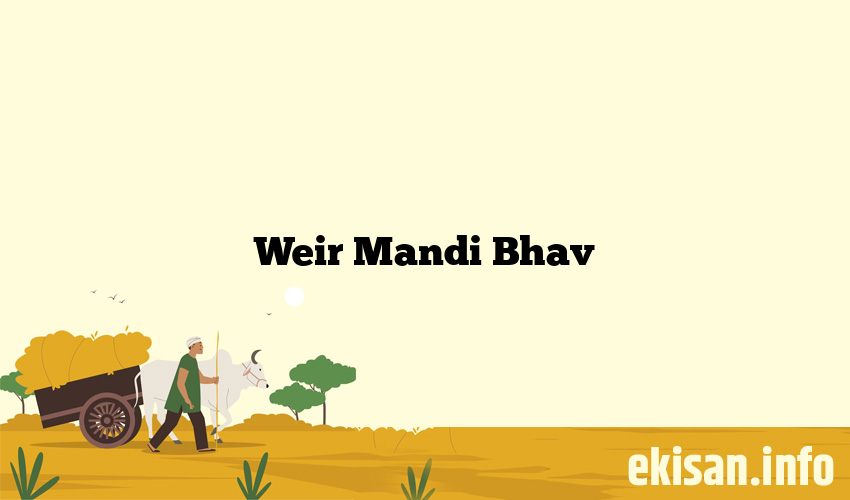 Weir Mandi Bhav